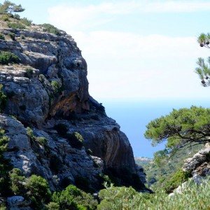 Pefki Gorge