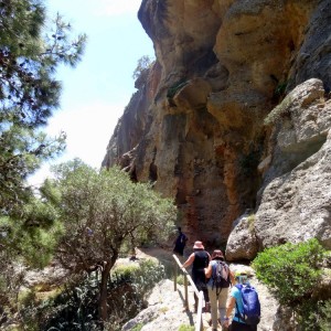 Pefki Gorge