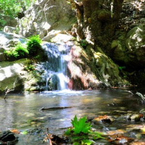 gorge of Richtis 