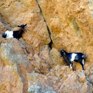  Zakros Gorge (the Valley of the Dead)