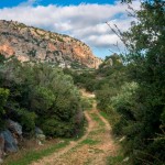 Anatoli trail 4