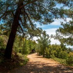 Anatoli trail 3