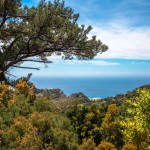 Anatoli trail 3