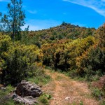 Anatoli trail 3